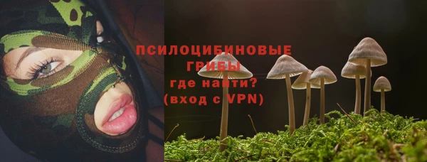 соль курить ск Медногорск