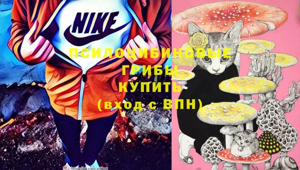 МДПВ Медвежьегорск