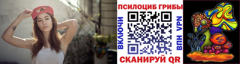 купить   Королёв  Псилоцибиновые грибы Cubensis 