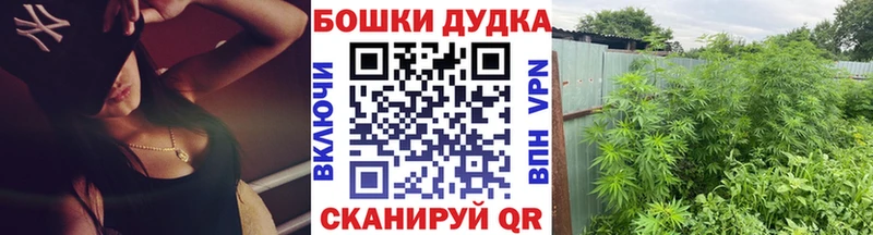Конопля ГИДРОПОН  Королёв 